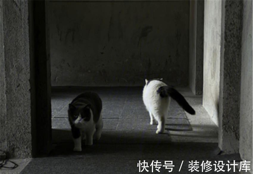 置物架|小夫妻没钱装修直接住毛坯房，却布置得超温馨！网友：这生活羡慕