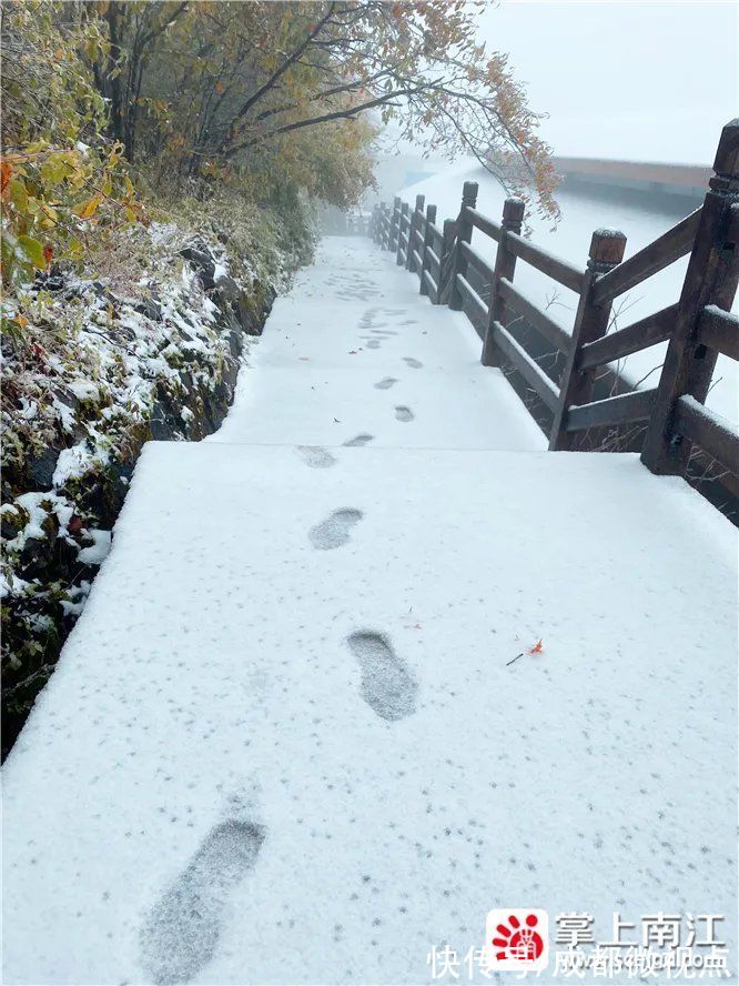 红叶|10月18日，一起去光雾山看红叶遇上白雪