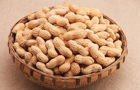 凝血功能|清晨空腹吃花生,养胃更补血,但6类人吃多了反而是养病