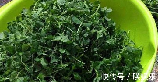 最长寿|会吃的人最长寿,常食4种食物,排毒燃脂,改善肤质,营养又瘦身