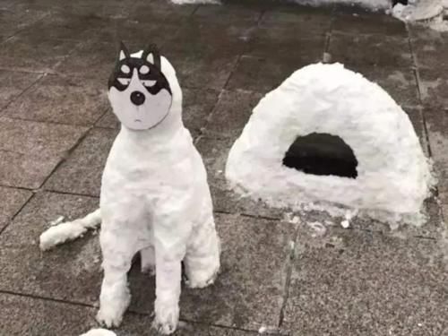 西双版纳 向往4即将收官,黄磊意外说漏嘴,提前告知了下一季蘑菇屋位置