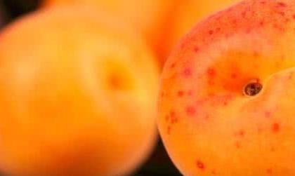 西梅|夏天孩子饮食养生正当时，4种食物多多吃，补充营养，有益健康