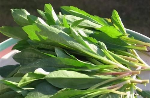 人要长寿,多吃3种食物,养肝护肝,美容养颜,早吃早好