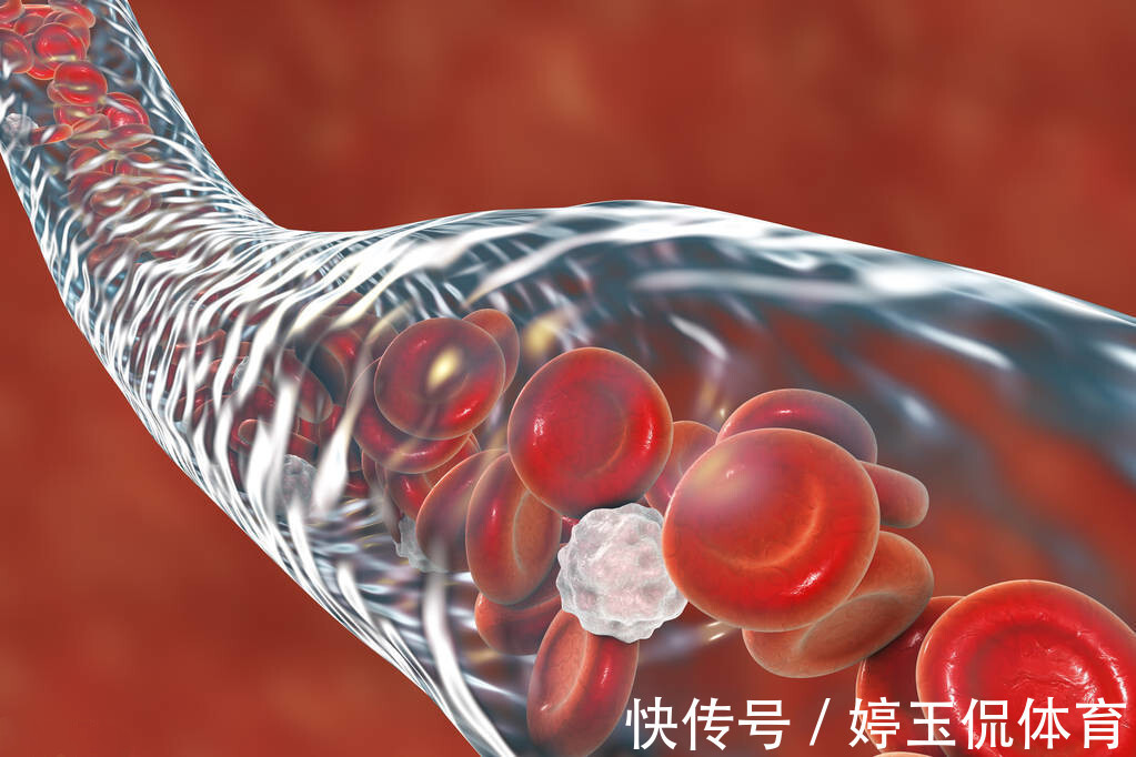 低密度脂蛋白|最新研究:控制饮食,来降低“坏血脂”,能大大节约医疗费用!