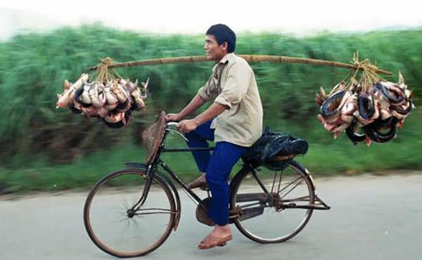 教你一种能让鱼离水活五天不死，并且不用水电、冰箱的法子