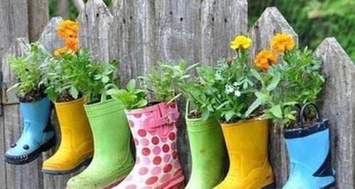 养花|除了花盆之外，这些东西也是绝佳的养花神器，你用过吗？