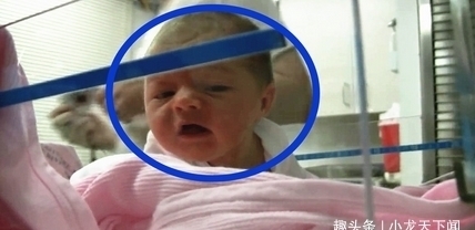 爸爸|新生儿还在保温箱里,听到爸爸在叫他,下一秒动作无法淡定
