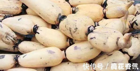 哺乳期|哺乳期最适合的8种素食,吃一口每天涨奶800ml,值得学习