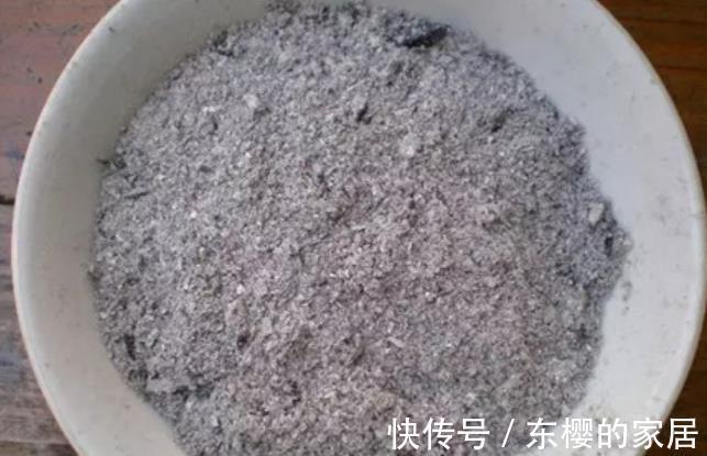 技巧|草木灰能“补钾壮根”,但是使用方法有技巧,用错就会黄叶僵苗