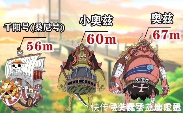 路飞|海贼王身高对比图,海王类以5000米称霸,路飞身高不及白胡子膝盖