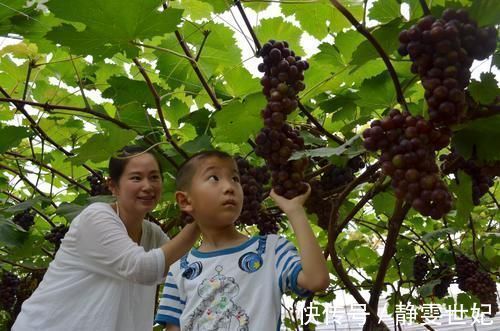 孩子|孩子睡前可以常吃这些食物,不仅睡得安稳,还利于身高、大脑发育