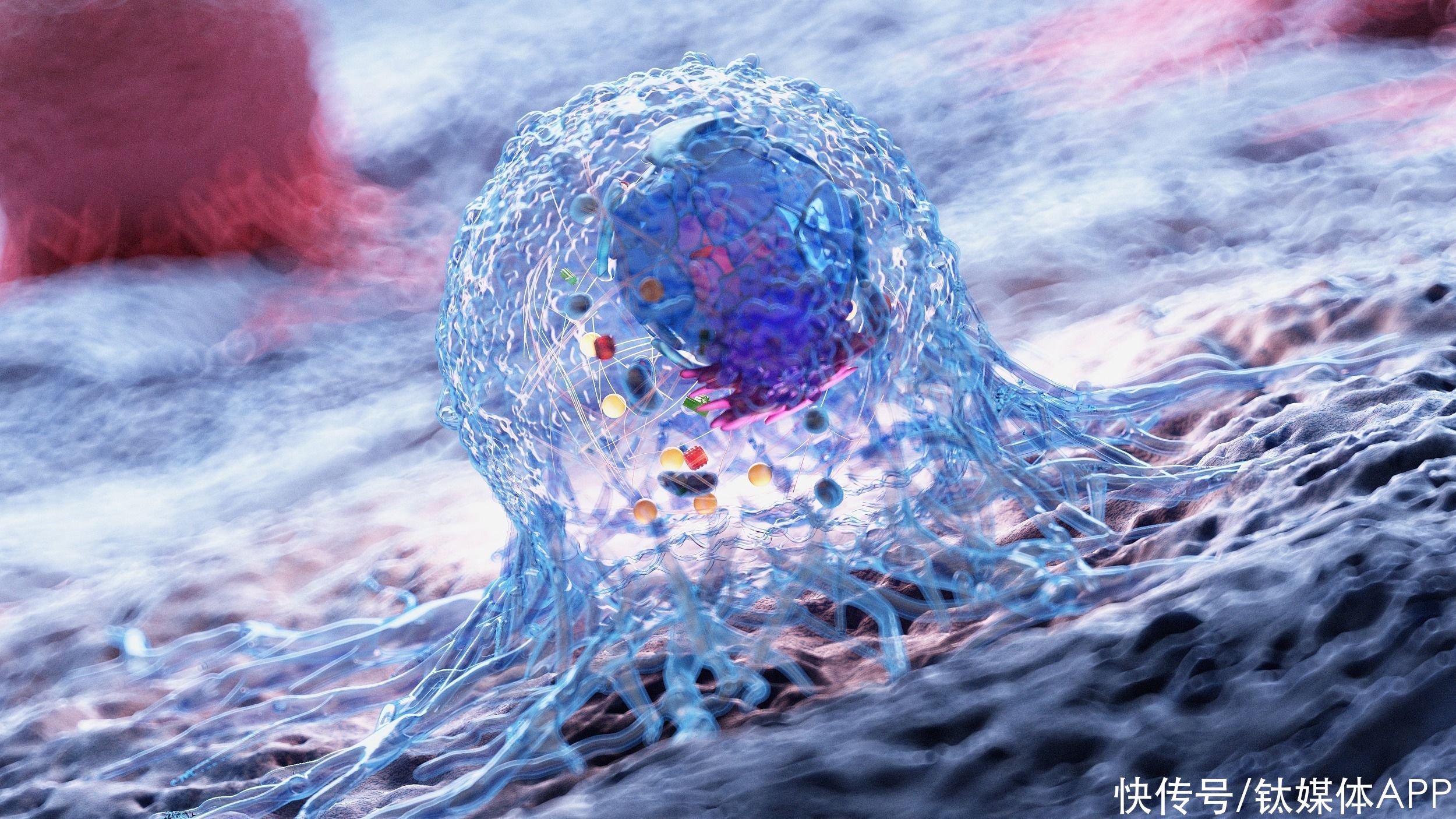 销售收入|百济神州Q2产品收入实现翻倍，净亏损同比扩大43.3%丨看财报