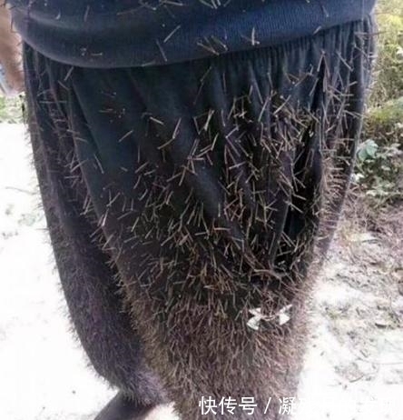 |搞笑GIF趣图：妹子，没想到吧？洗个手还能碰到惊喜！