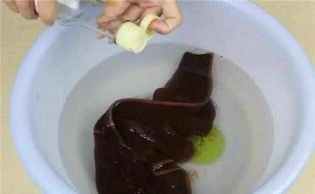 毛巾用久了,又脏又硬,三个小妙招,让旧毛巾柔软如新