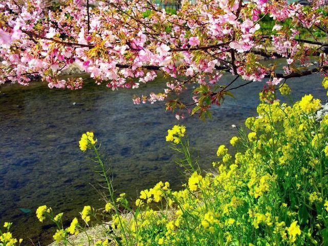 10首春游诗词，让我们去春游踏青，欣赏这美丽的春天!