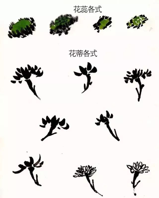 花蒂|图文教程——菊花的写意画法