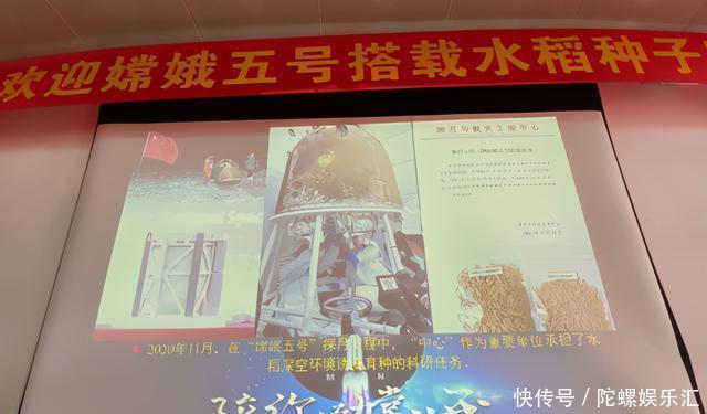 和嫦娥五号一起太空旅行的种子发芽了，这将提高水稻产量、口感