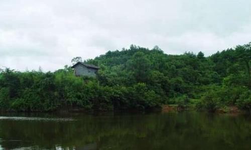 鳙鱼|手竿如何垂钓大头鱼,重点就是饵要轻雾化好,我从四个方面说明