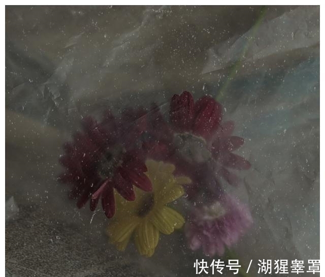 桃花|下一周，岁月静好，喜鹊盘旋，情缘不灭，乌云散去，桃花绽开