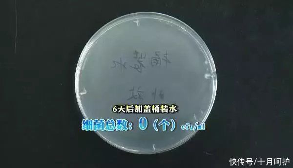 家用电器|家里细菌最多的竟是饮水机，感染家庭后悔知道太晚