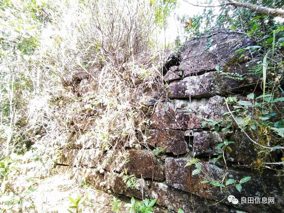 高峰|探寻揭西第一高峰附近的仙人塘古庵遗址