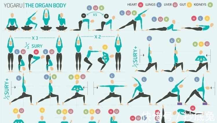 秘密|9幅珍藏级瑜伽挂图，揭开瑜伽老师备课的秘密！