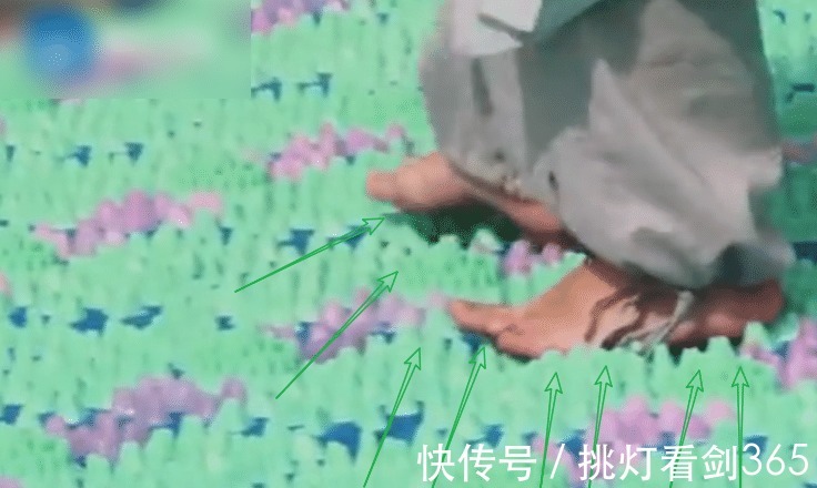 脚丫子|《奔跑吧》沙溢走到半路倒地,拉近镜头,发现节目组够“狠”心