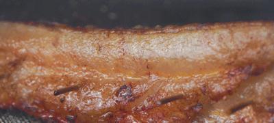 五花肉只会做成红烧肉吗，试试这个做法，解锁五花肉的新吃法