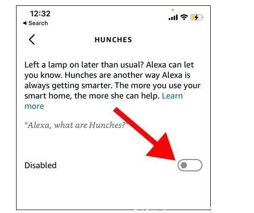 什么是 Alexa 预感，以及如何使用它们?