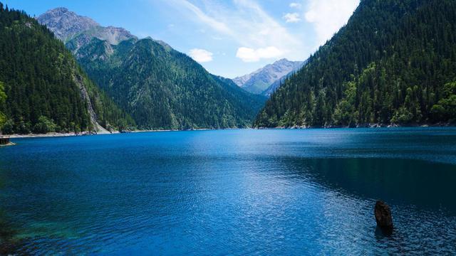 水瓶座|聪明一般人比不过这四个星座,各有各的特点,都是人精里的人精!