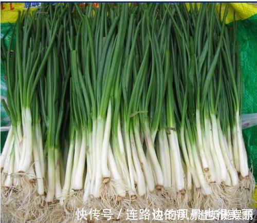 菜农|香葱买多了该如何保存菜农教你这一招，放半年香葱都不坏