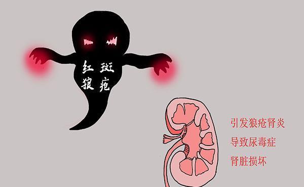 病毒|你的免疫力为什么别人差?可能是某些食物有关,看完本文就能懂了