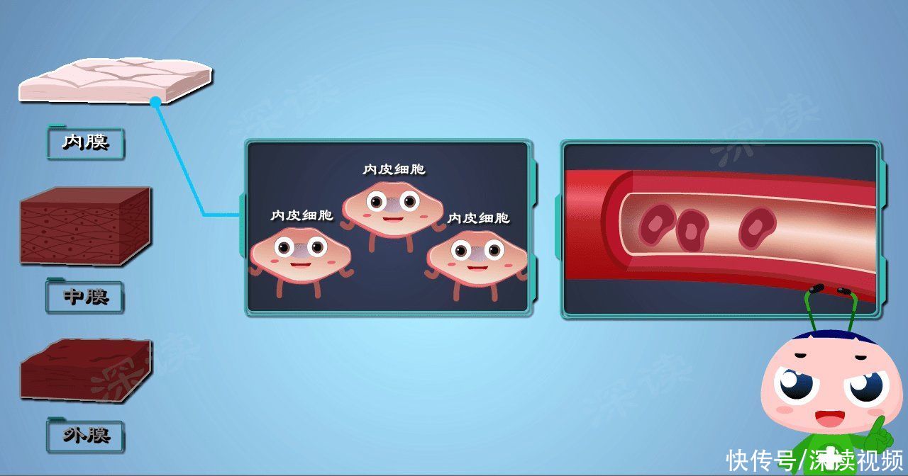 通透性|从腿上小红疹到血尿、蛋白尿，过敏性紫癜是咋搞出肾损伤的？
