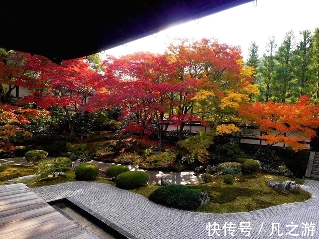 寺院|2021年11月京都红叶观赏信息