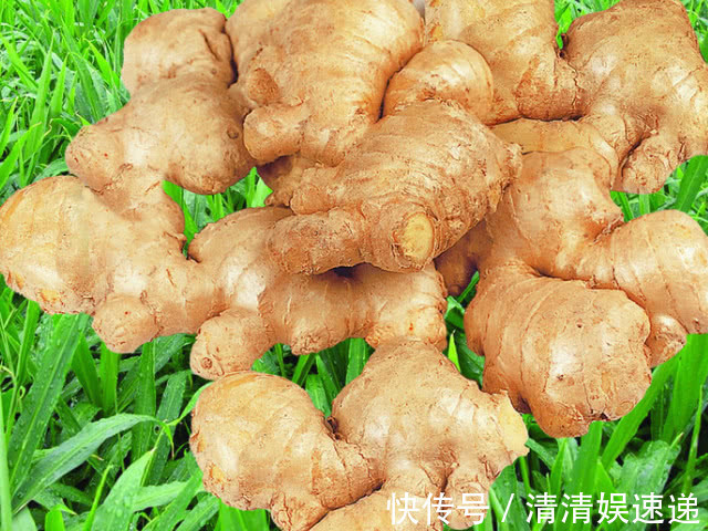 风寒感冒|生姜的好处虽然多,但千万不要和它一起吃,小心“激活”疾病