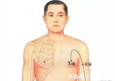 关元穴|有人再热也不出汗,有人不动一身汗?老中医:多汗补气,无汗养血