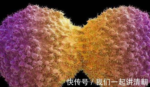 日常生活中|有没有“患癌”，身体早已“通知”你，以下4个征兆要“留心”