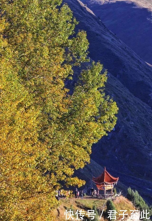 朋友|太撩人了！凉山人的朋友圈里，藏着最美清秋！