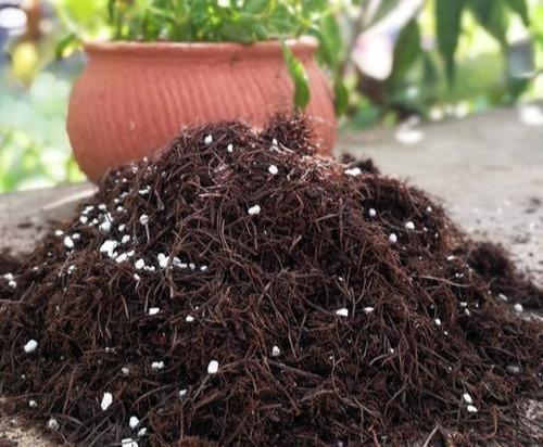害处|锯末养花害处大,不如用“松针”,可是万能养花土