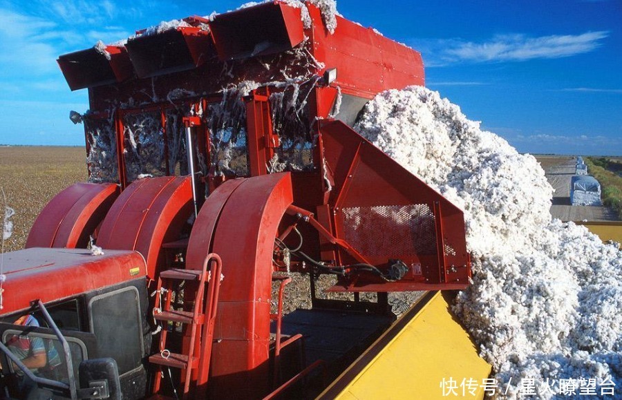 新疆棉制品“秒空”,1小时收售2352万元,耐克阿迪可曾想到结局?