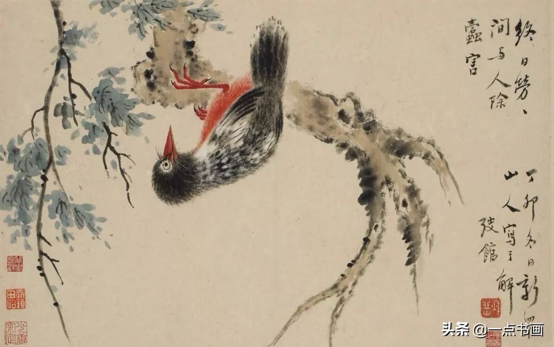 草虫&华岩的花鸟画,独辟蹊径,令人耳目一新