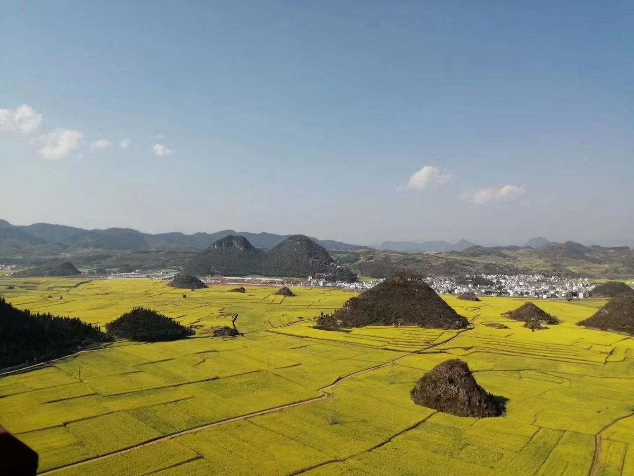 新年自驾游、新车、新花、新景、新气象、金灿灿、心花怒放、赏心悦目