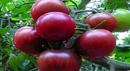 女人要排毒，离不开的食物，排毒养颜，袪皱淡斑，促进血液循环