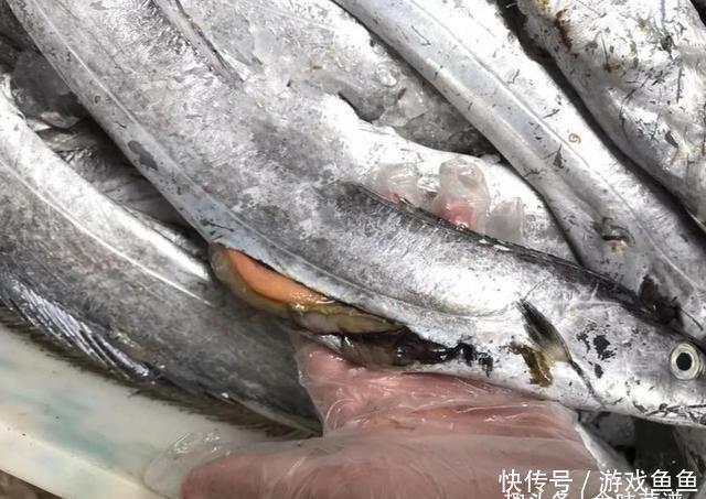 带鱼里吃出一节骨头,像牙齿一样,摸起来硬硬的,你知道原因吗?