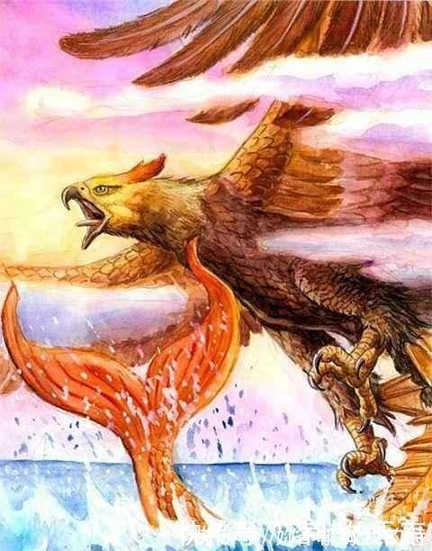 大鹏鸟|除凤凰外, 上古有名的六大神鸟和四大恶禽
