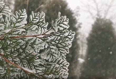 杭州迎来入冬第一场雪 清凉峰现雾凇景观