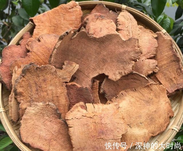 谁若铲除此物,请您收藏它的根茎,别怕笑话,目前26元一斤