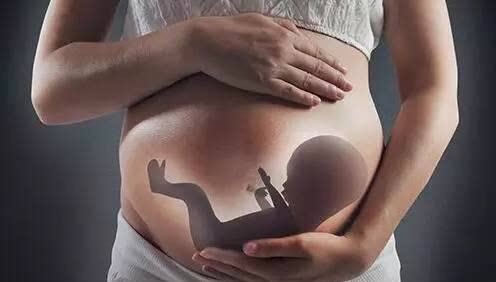 宝妈|生娃后,你的胎盘“埋了”还是“吃了”?不同的做法不同的后果