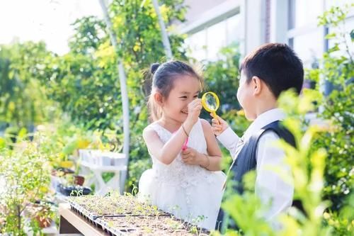 辽宁省小学的3朵“霸王花”，实力强，含金量高，你认识哪一所？