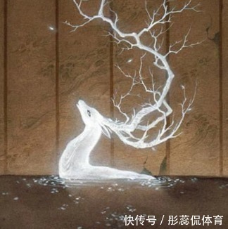 凌纯声&被质疑了三千年的《山海经》,如今终于被证实!学者:是真实历史